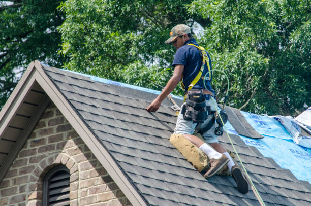 Tile Roofing Contractor in Forest Hills, MI